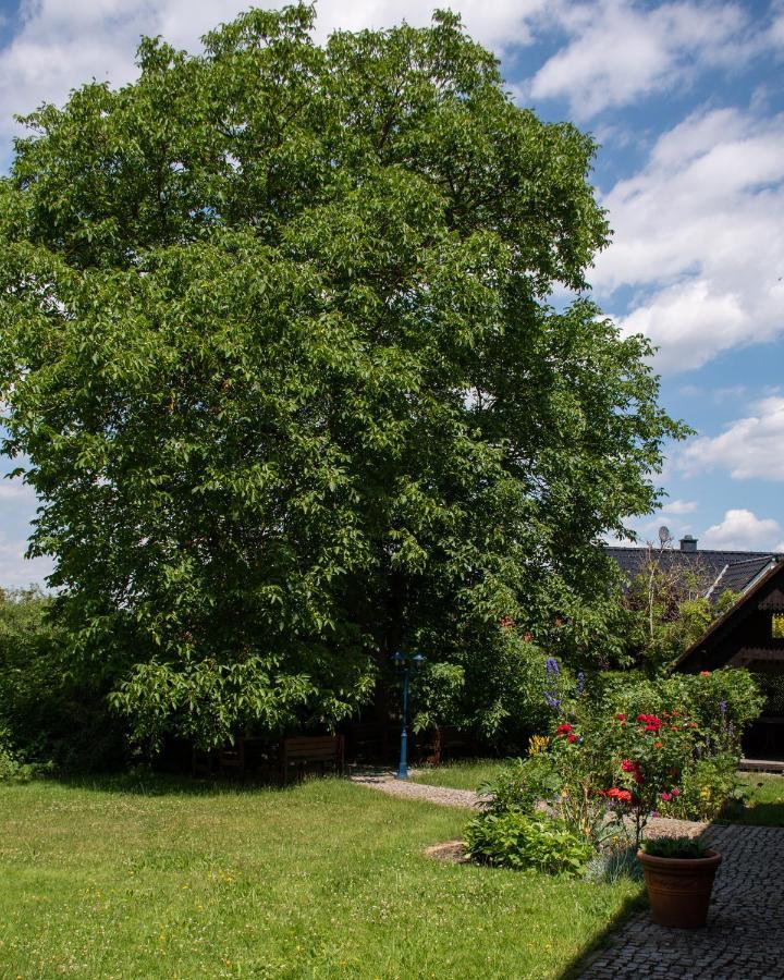 Ferienhaus Ostrauer Hof บาดชานเดา ภายนอก รูปภาพ